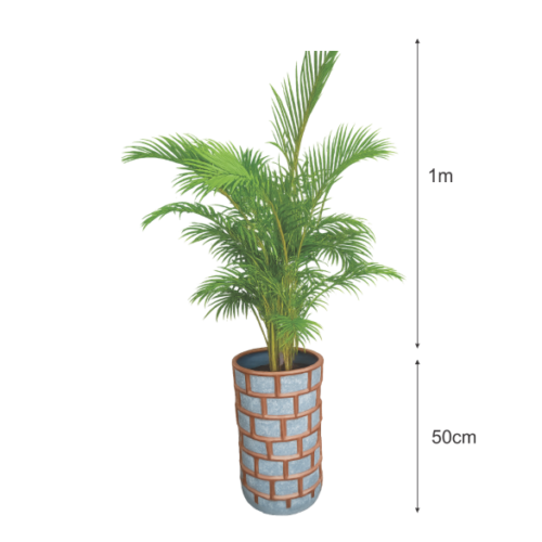 indoor palm plant with burnt clay planter