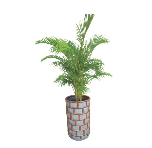 decorative areca palm in clay pot