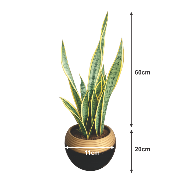 snake plant chic planter indoor
