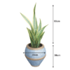Snake Plant Blue Planter - Indoor Decorative Plant